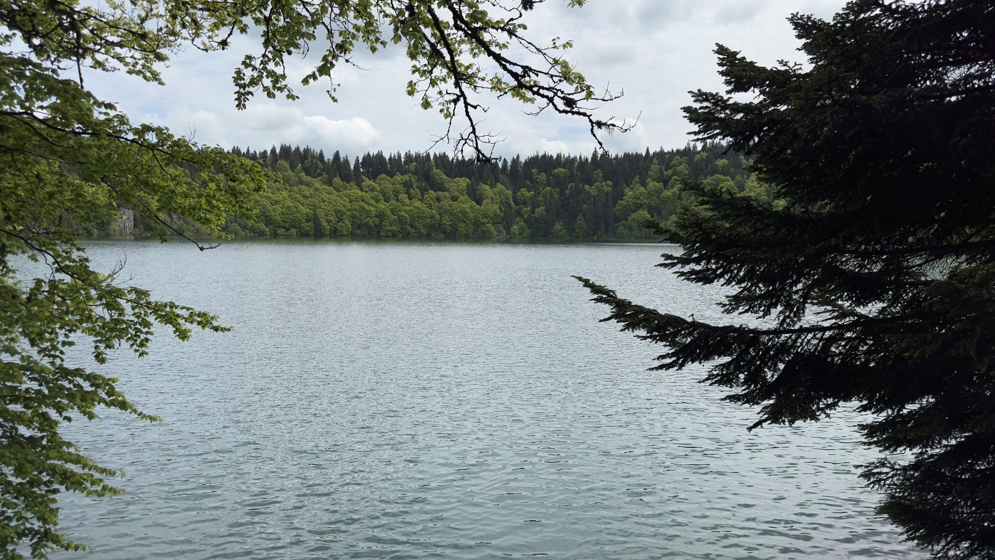 Le Lac Pavin : Un Joyau Volcanique de l’Auvergne